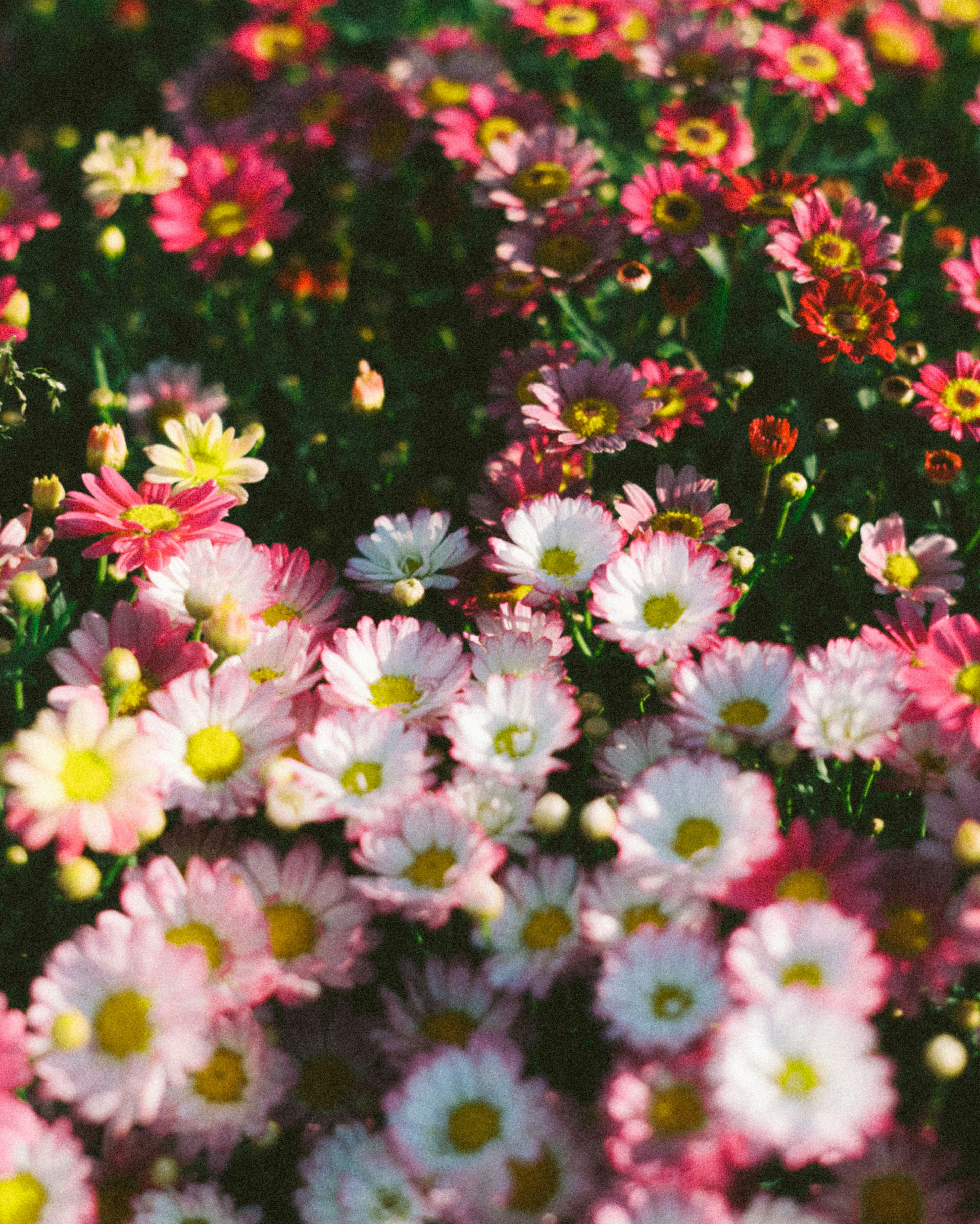 Ahmed Nishaath Zc9gWGHwErQ Unsplash